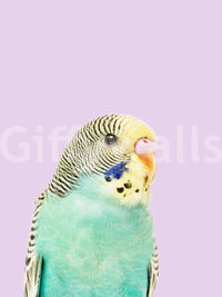 Durable wallpaper featuring budgie and leaves

