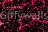 Midnight floral mural with detailed burgundy petals

