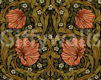 Antique-style Pimpernel by William Morris wallpaper for your home.

