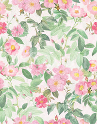Charming blush rose garden wallpaper for modern spaces

