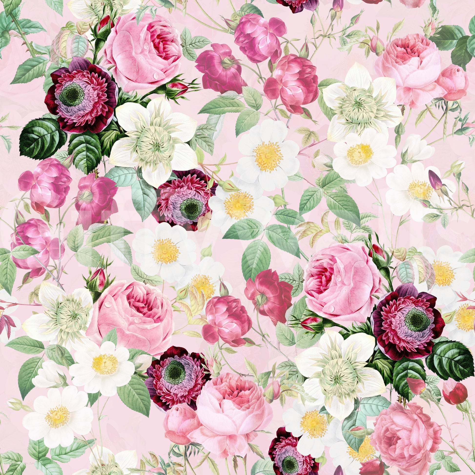 Soft pastel rose wallpaper creating a peaceful floral retreat.

