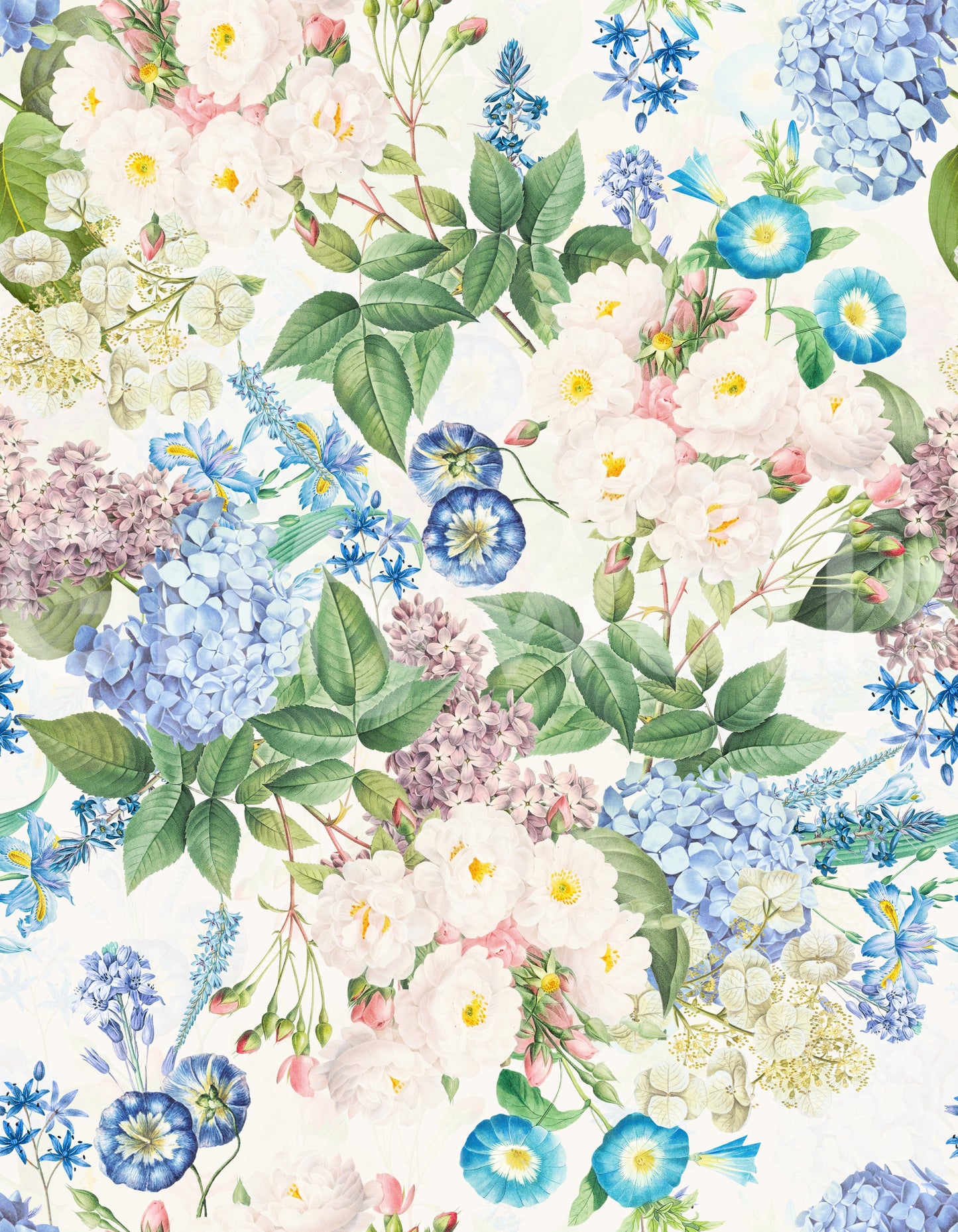 Romantic Rose & Hydrangea Dreams Wallpaper⁠