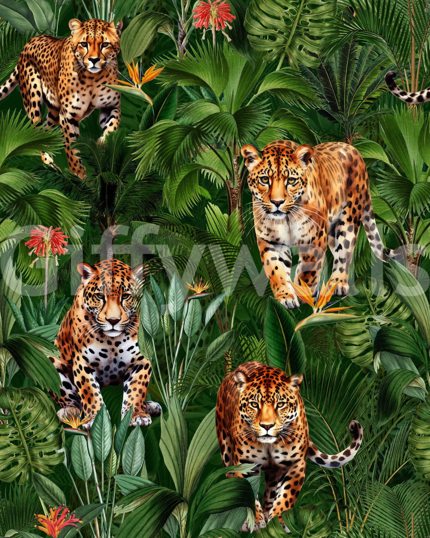 Big Cats of the Jungle Wallpaper⁠
