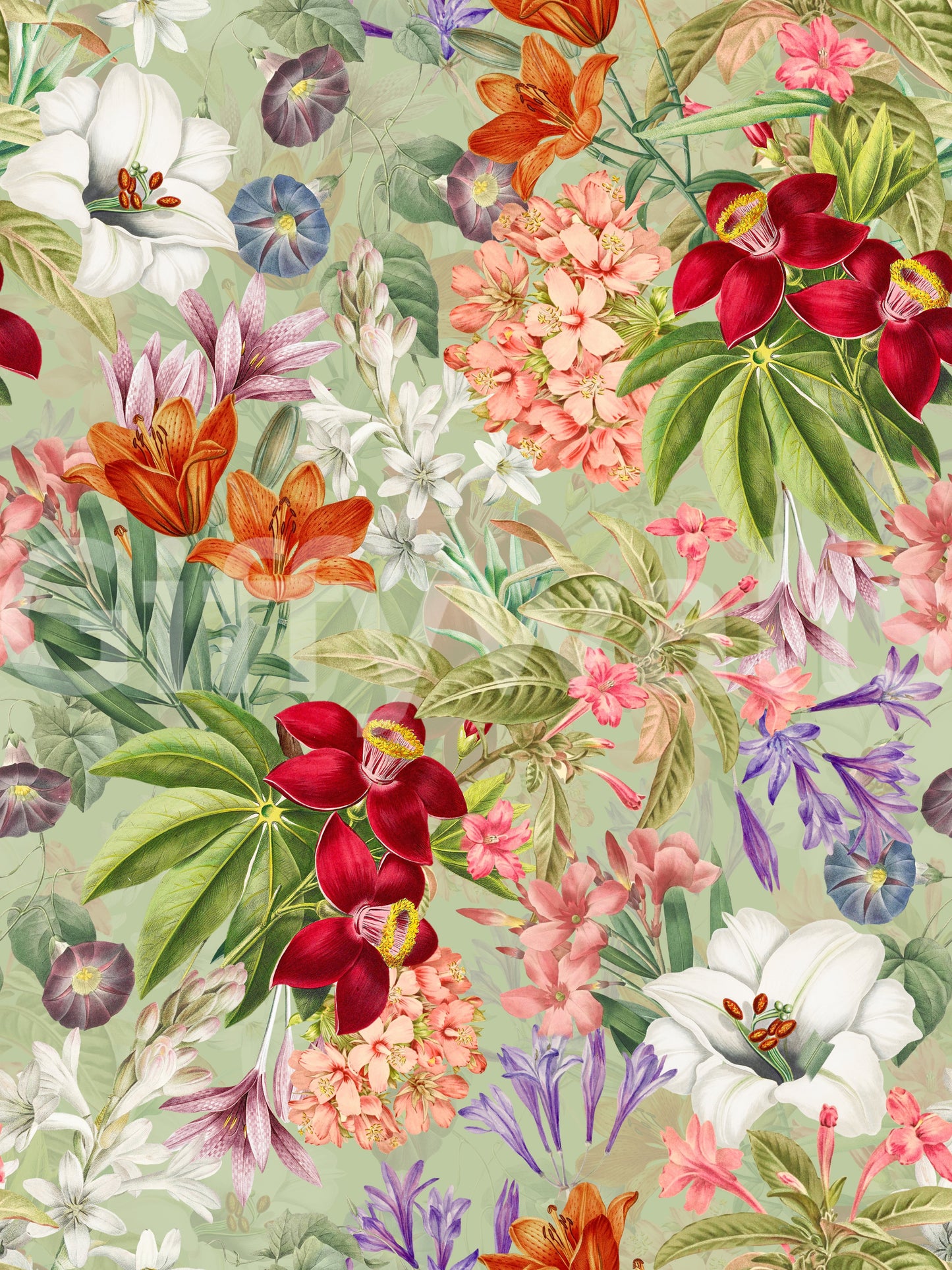 Vintage Botanical Garden 1 Wallpaper⁠