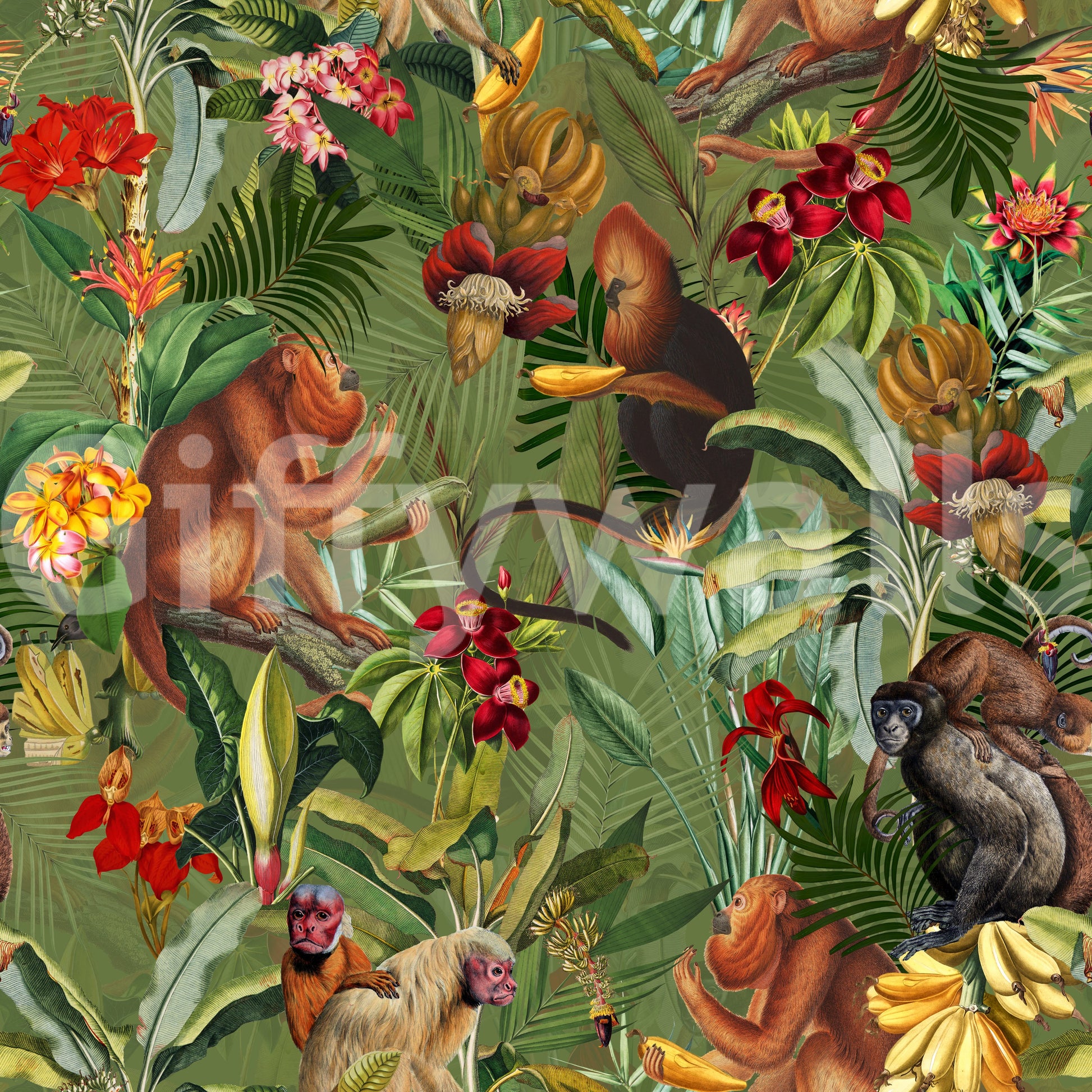 Dense jungle wallpaper bringing a tropical escape to rooms.

