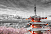 Wall mural of Chureito Pagoda and Mount Fuji under cherry blossoms.


