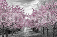 Nature-inspired mural with vibrant cherry blossom walkway.

