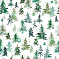 Elegant watercolor forest trees with spruces