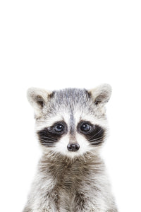 Cute animal mural with baby raccoon in forest setting

