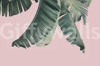 Artistic banana leaf mural with blush pink backdrop

