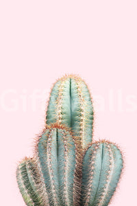 Pastel cactus mural with soft textures and warm vibes

