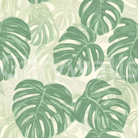 Leafy Monstera wallpaper adds greenery indoors.

