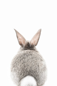 Bunny tail mural with soft textures and subtle colors