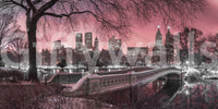 Tranquil pink sky over Central Park at sunset mural.

