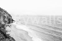 California beach waves captured in black and white mural.

