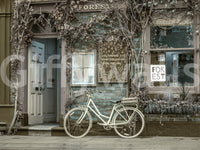Bicycle leaning outside old café mural

