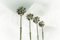 Tranquil beach mural featuring palm trees and sea

