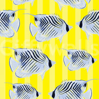 Nature-inspired Aquaria wallpaper for calming home decor

