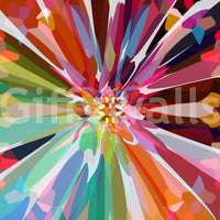 Prismatic Burst mural wallpaper with artistic expression

