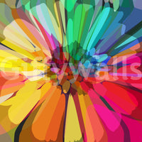 Bold and lively Chromatic Burst wallpaper for any room

