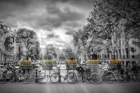 Herengracht canal view wall mural for relaxing spaces

