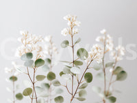 Elegant flower wall mural with fine detail

