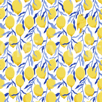 Kitchen wallpaper with lemons and birds

