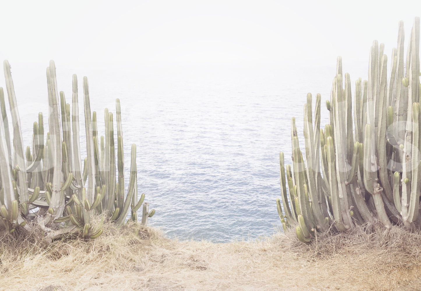 Calm desert-inspired wallpaper with subtle color

