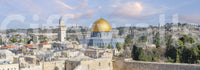 Dome of the Rock mural for thoughtful interiors

