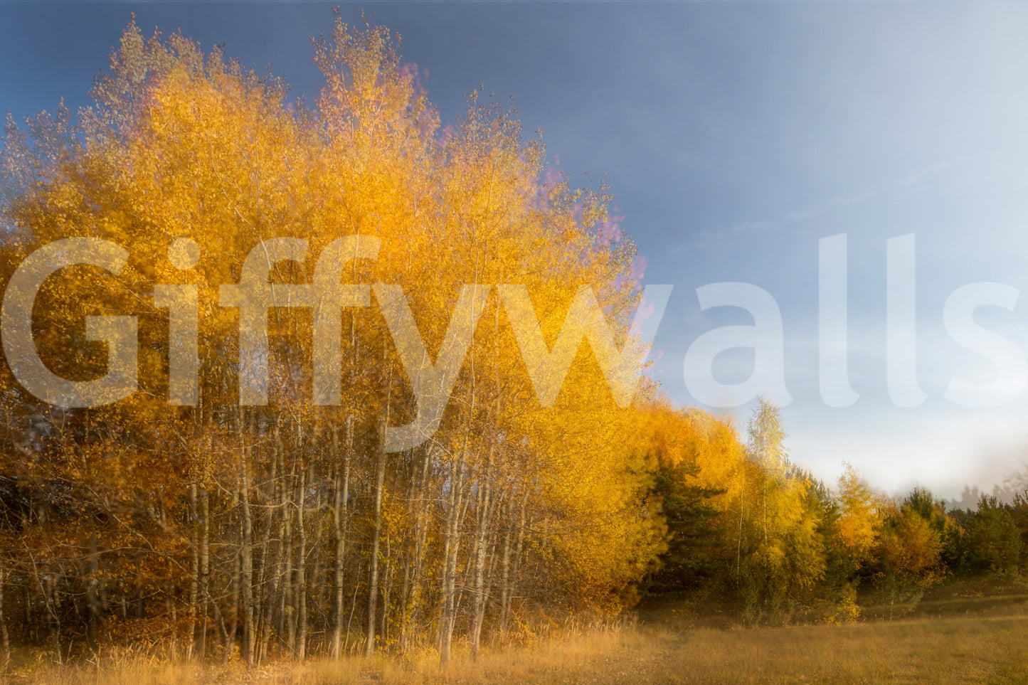 Evokes a feeling of awe and natural beauty.