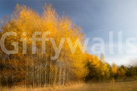 Evokes a feeling of awe and natural beauty.