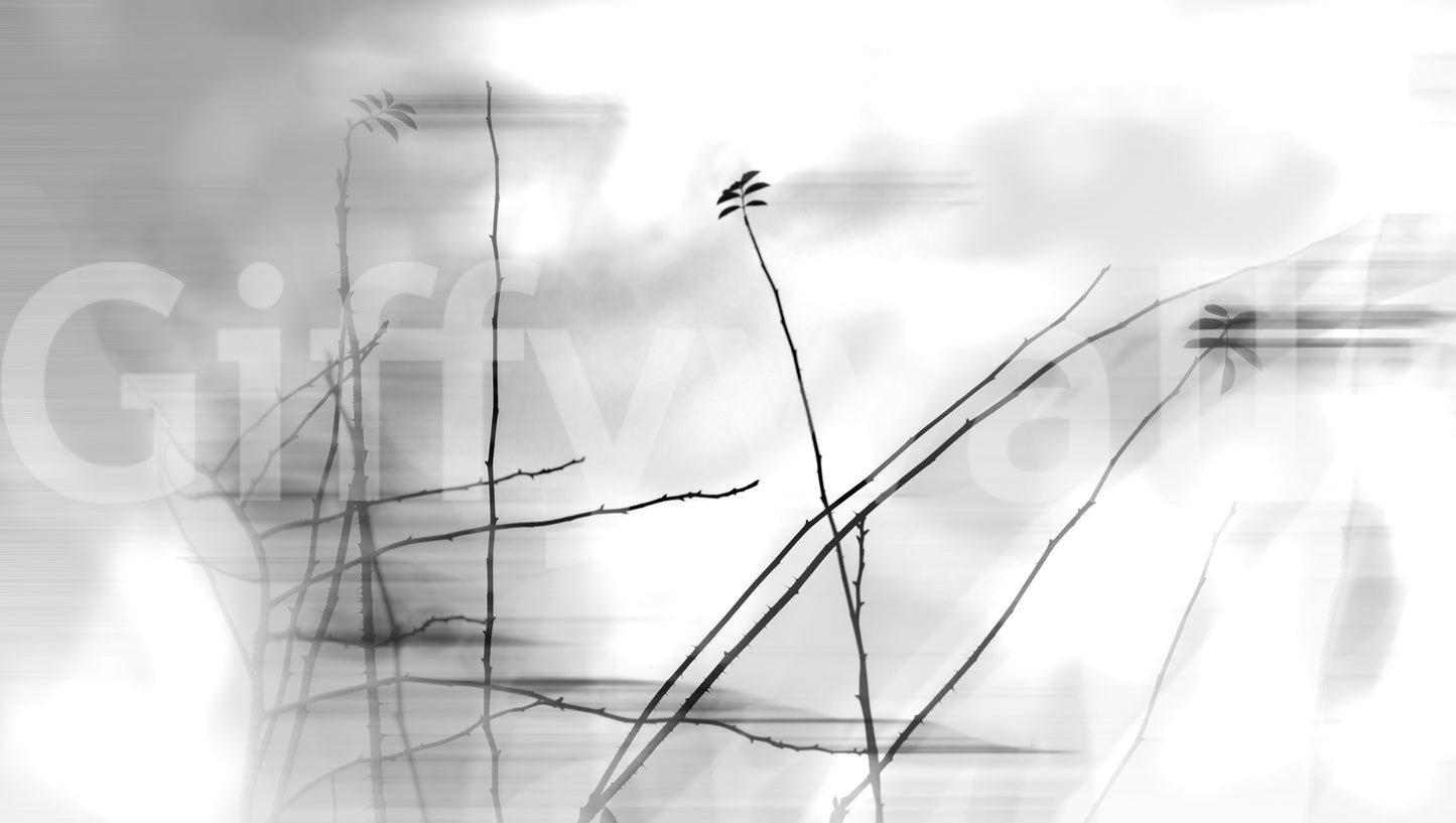 Ethereal Monochrome Art Print of Delicate Branches Wall Mural