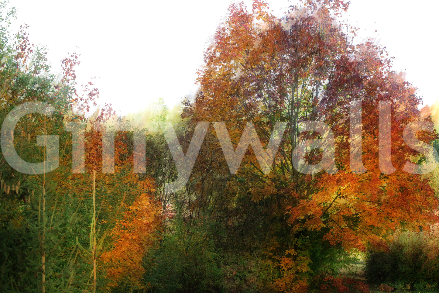 The Autumn Foliage mural gives the space a lively and natural feel.

