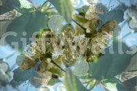 The Ethereal Floral mural gives the space a delicate and artistic touch.