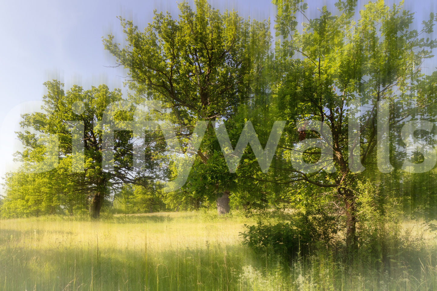 The Serene Greenery mural gives the space a quiet and natural feel.

