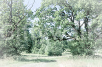 The Tranquil Greenery mural gives the space a quiet and natural feel.

