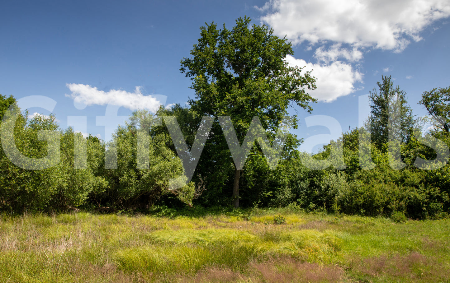 A view of the mural as the defining centerpiece of a bedroom or dining area.

