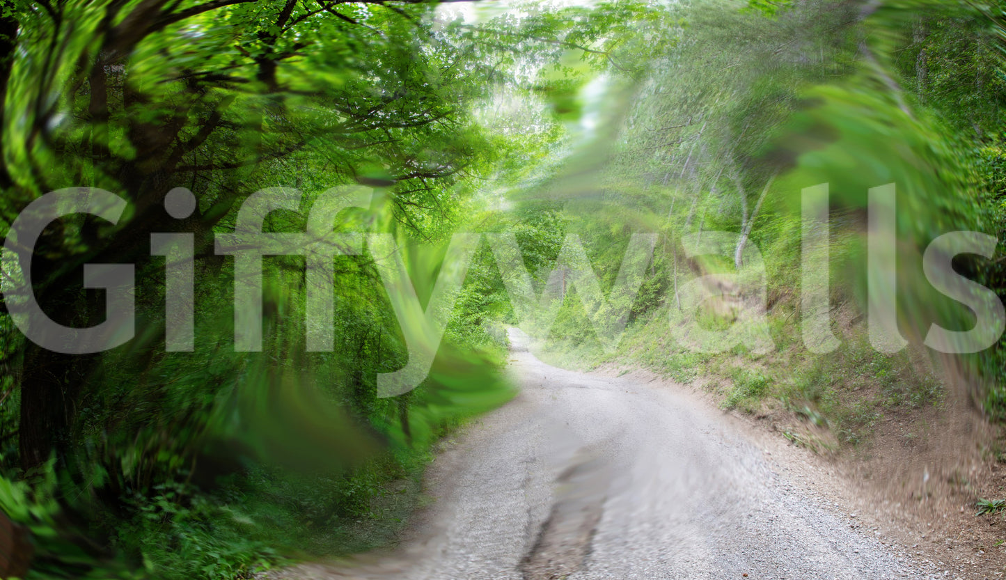 The path winds into the distance.

