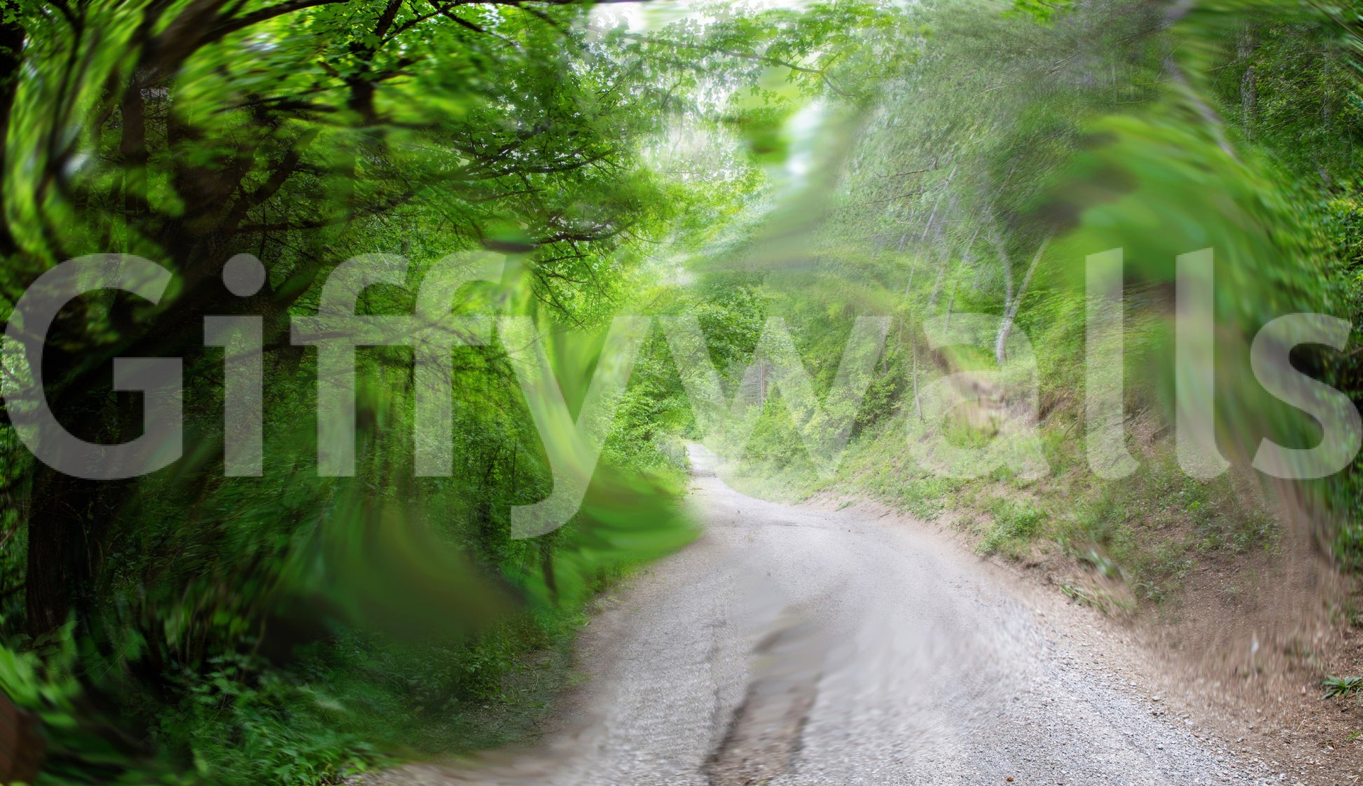 The path winds into the distance.

