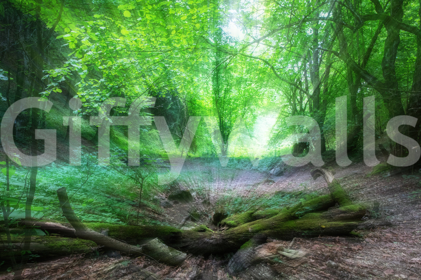 The view is from a central point in the forest.

