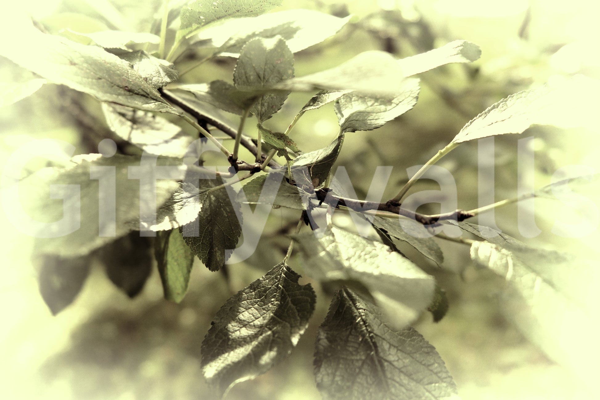 Inviting and calming outdoor feel.

