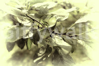 Inviting and calming outdoor feel.

