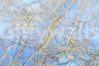 Wall decor evoking serenity and a connection to nature.

