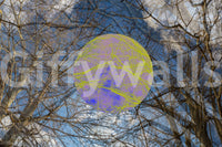 Artistic expression on walls.

