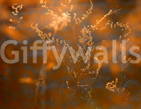 Horizontal format for an expansive view.

