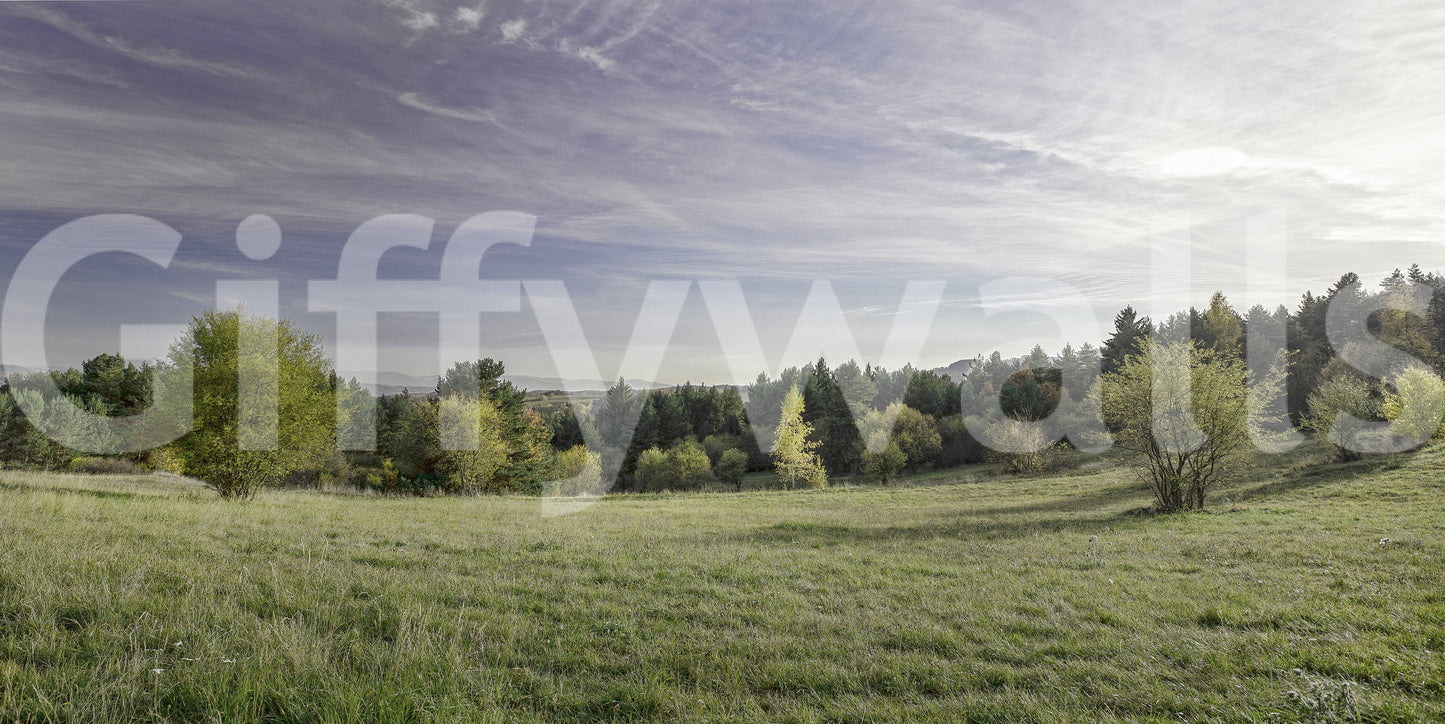 A harmonious statement piece for any home.

