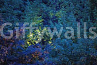 Dreamlike quality for home decor.

