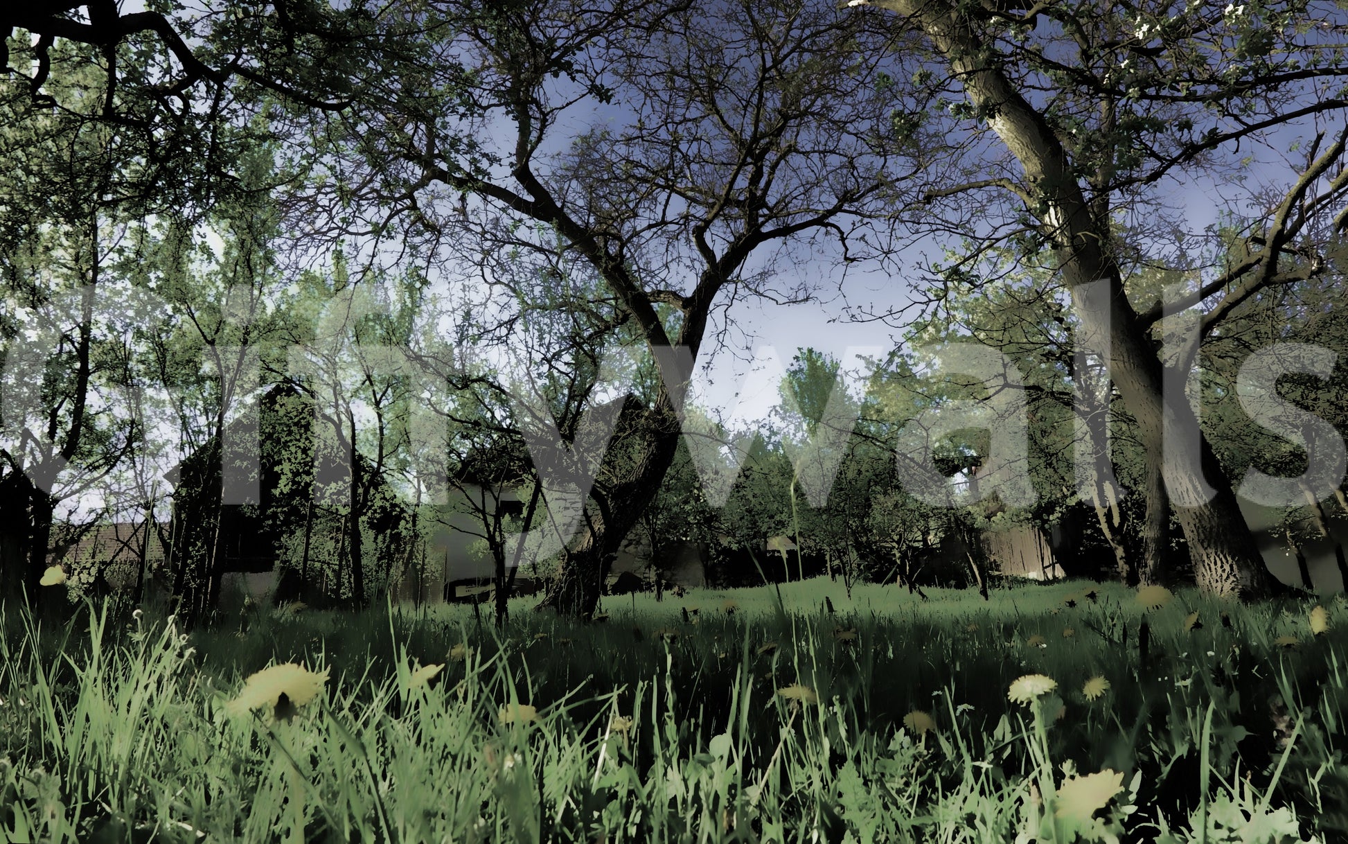 Natural beauty with a calming visual.