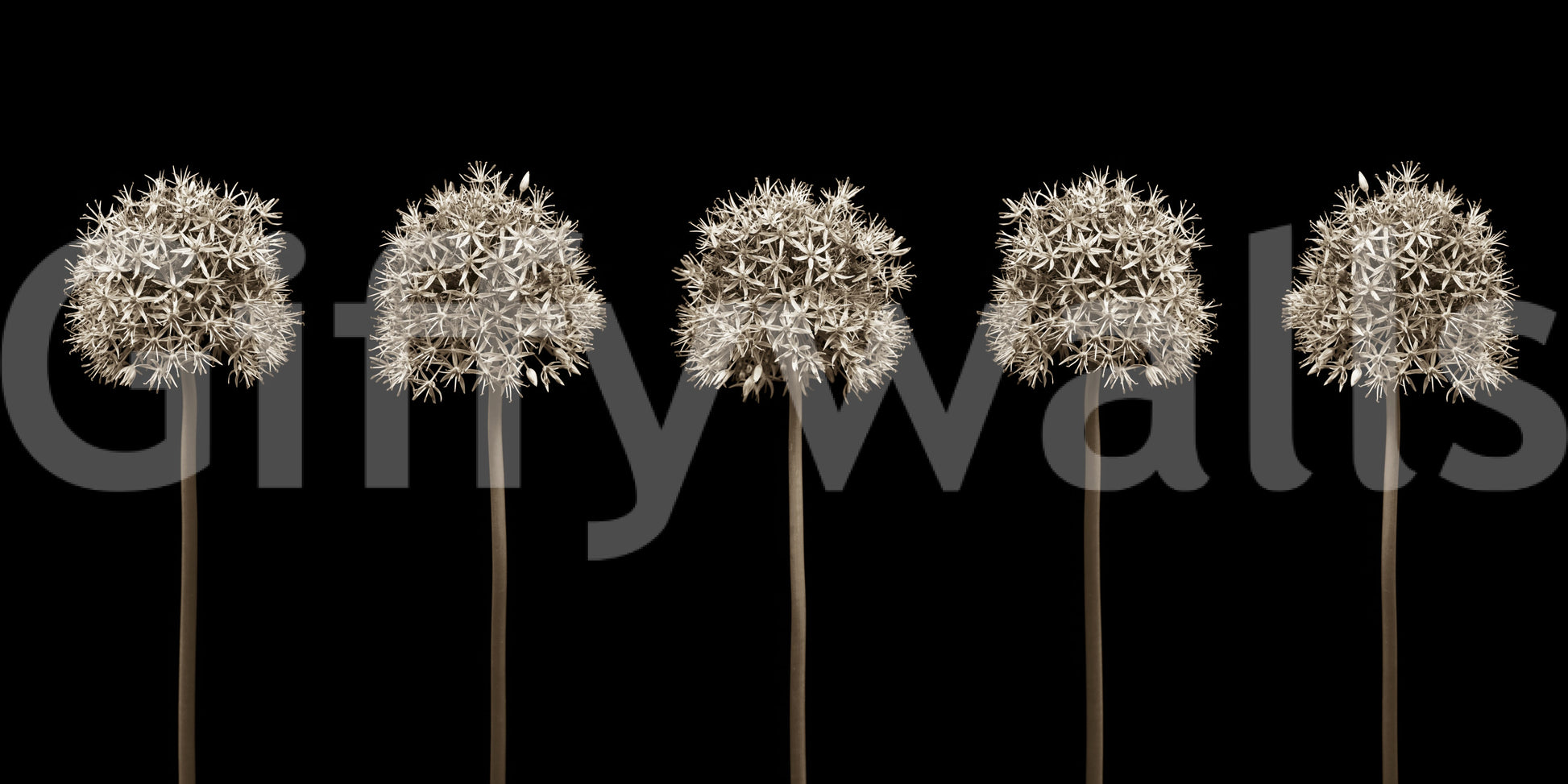 Unique flower motif for walls.

