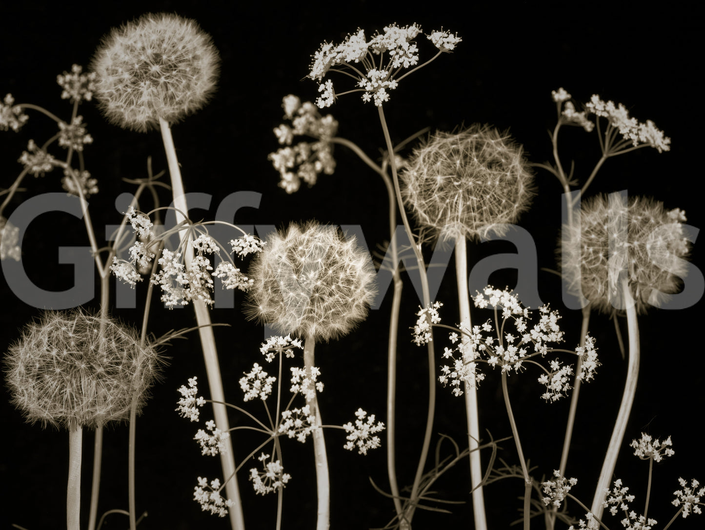 Elegant botanical wall covering.

